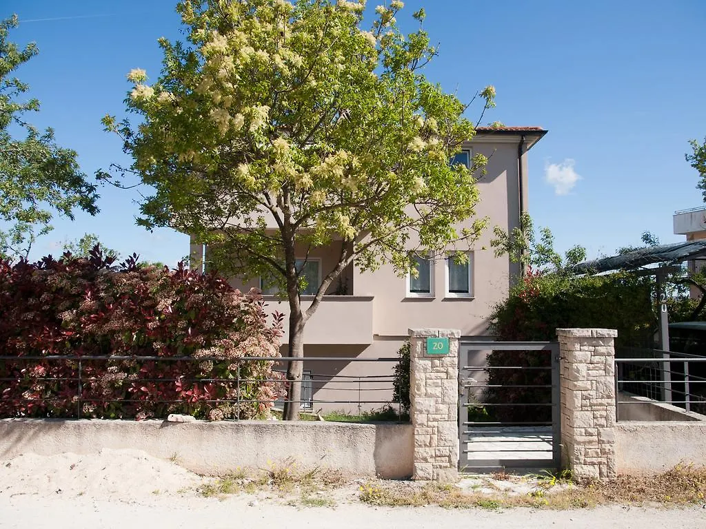 Apartments Pino Pula 0*,